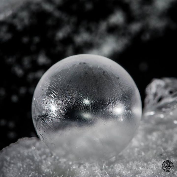 Frozen bubble. Photograph taken by Rachael Hill. 