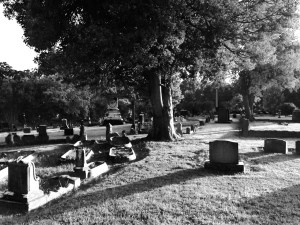 Photo by Kimberly Richardson.